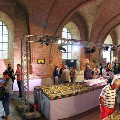 09.2 Fetons Moissac - exposition de chasselas