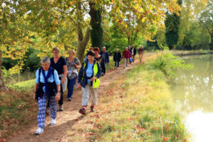 29. Semaine bleue_marche solidaire