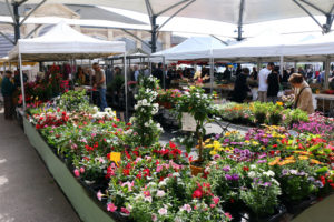 11.1 Marché à thème