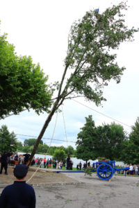 04. Plantation du Mai - Fêtes de Pentecôte