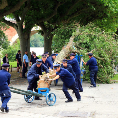 03. Plantation du Mai - Fêtes de Pentecôte