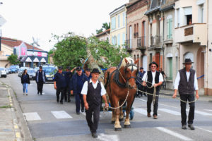 01. Plantation du Mai - Fêtes de Pentecôte