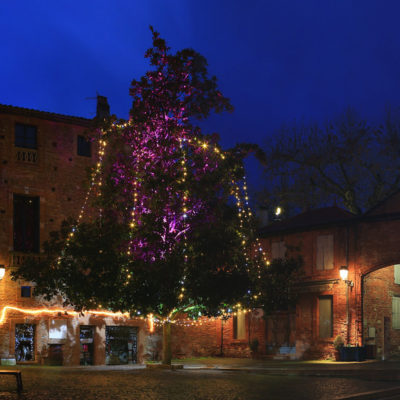 19.Fêtes de fin d'année