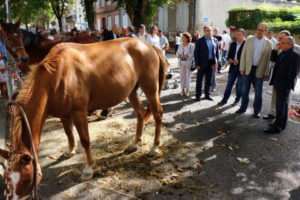 Comice Agricole_2014 (4)