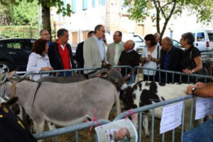 Comice Agricole_2014 (3)