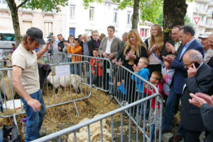 80.comice agricole_dimanche 15septembre (2)